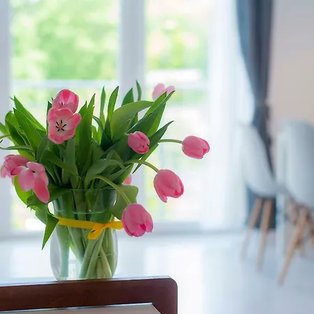 A Morze Gory Appartamento Świeradów-Zdrój