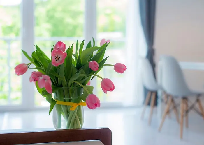 A Morze Gory Lejlighed Świeradów-Zdrój